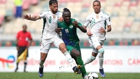 【博彩娱乐】强势复苏