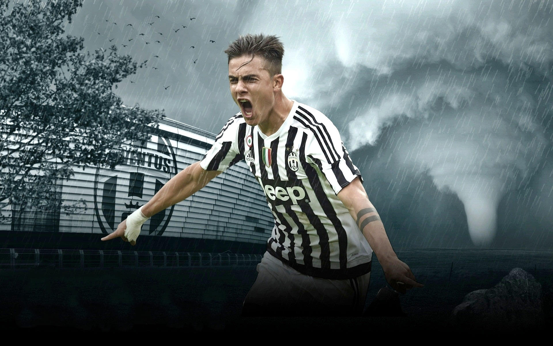 震惊！这队突然连赢五场